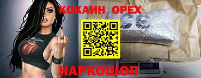 крисы Ливны