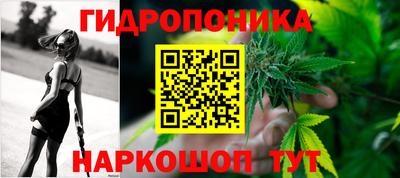 крисы Ливны